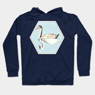 A Swan Mirror Hoodie